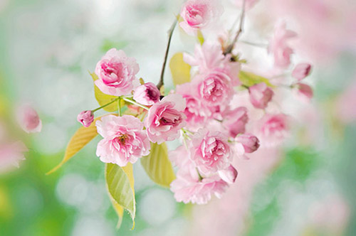 qq炫舞印象句子80句