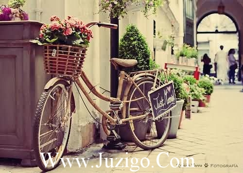 团给合作的谚语65句