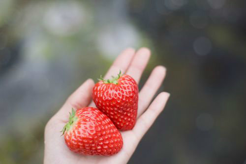 作文中的关于搞笑的好词好句子(精选90句)