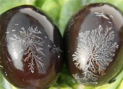 ​松花蛋里的纹路是怎么来的