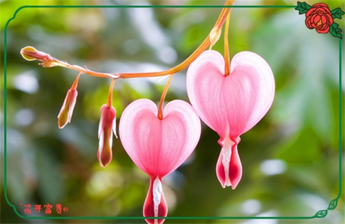 对友情很失望的句子(必备93句)