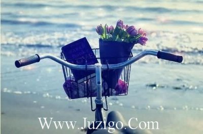 ​高冷又随性的句子|抖音随性又洒脱的句子(精选75句)