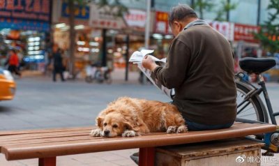 “丧偶式婚姻”成潮流,又有多少人深受其害?