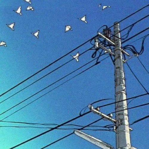 各自安好唯美句子