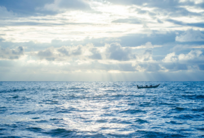 ​感恩的句子经典语录100字(感恩的句子简短几个字)