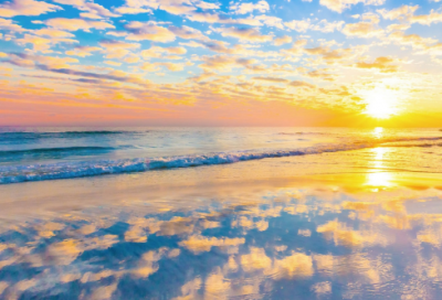 ​酒的句子经典悲伤(酒解忧愁的经典句子)