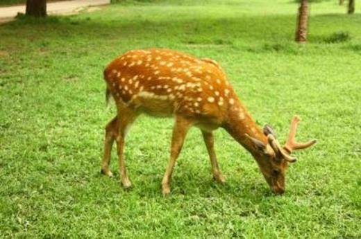 抖音网红句子短句