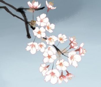 ​悼念已经去世的父亲的话 想念逝去父亲的句子(37句)