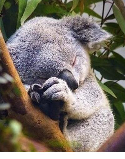 感叹活着真好的句子