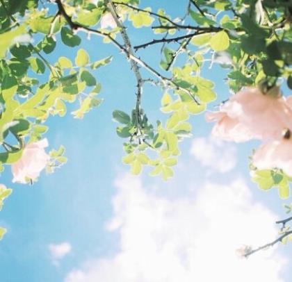 感叹活着真好的句子