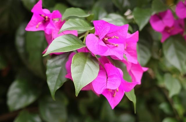 中秋节标语 中秋节活动主题标语