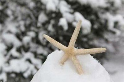 ​感人表白句子76条