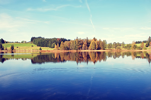 盐老板抱琵琶歇后语21句