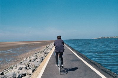 ​桥的比喻句16句