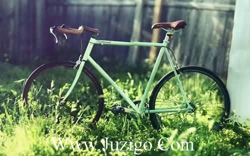 象蚂蚁一样工作，象蝴蝶一样生活