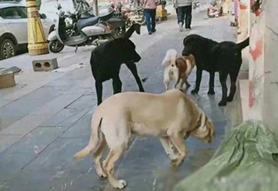 ​当今社会最看不惯的十种不文明现象，你遇到过吗？