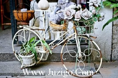 ​描写秋雨的优美句子短句(描写树的句子超优美短句)