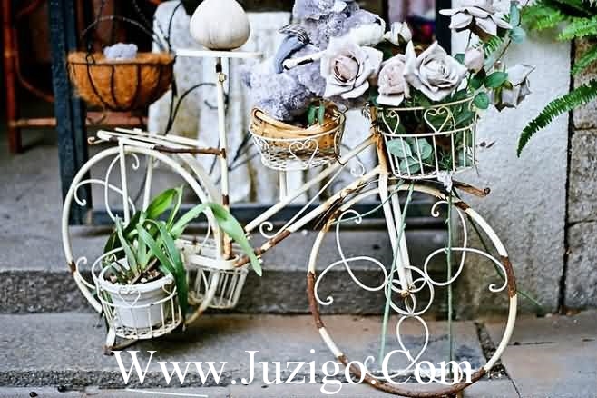 描写秋雨的优美句子短句(描写树的句子超优美短句)