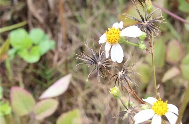 国庆节幽默搞笑说说