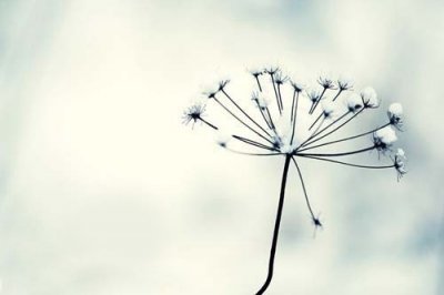 夸女生漂亮句子干货(15句)