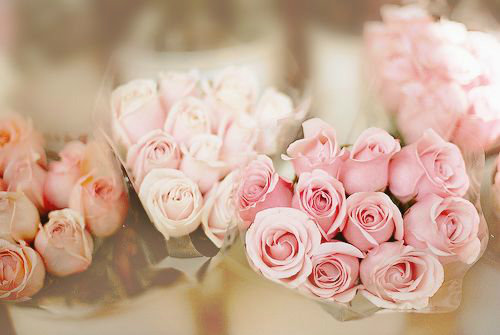 有关杨树的比喻句13句