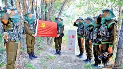 蚊虫王国的生存法则:探索生命禁区中的坚守者!