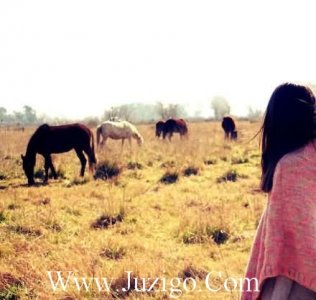 关于大自然知识的谚语44句