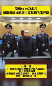 ​易鹏飞：从光辉到堕落的权力悲剧