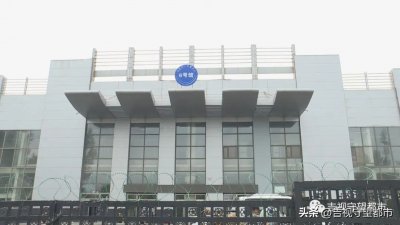 ​去汽博会，这七条公交线路可直达