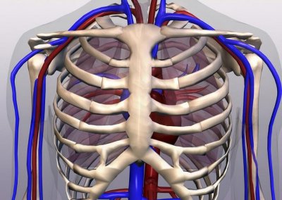 肋骨外翻有多可怕?!