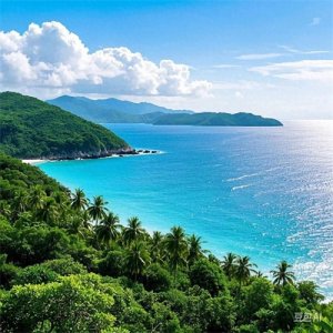 也聊北方“候鸟”过冬常选地——三亚与北海的差异