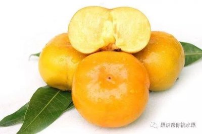 ​硬柿子和软柿子的区别