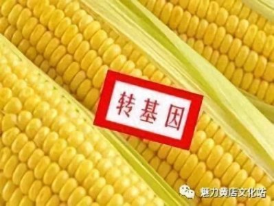 ​转基因食品和非转基因的区别