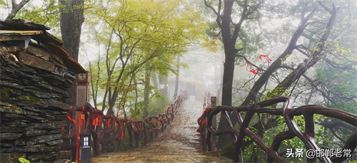 陕西安康鬼谷岭 终年云雾缭绕 当地人称云雾山