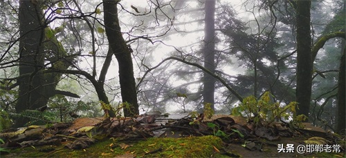 陕西安康鬼谷岭 终年云雾缭绕 当地人称云雾山