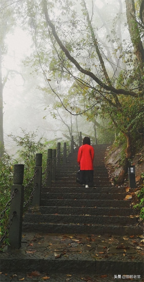陕西安康鬼谷岭 终年云雾缭绕 当地人称云雾山