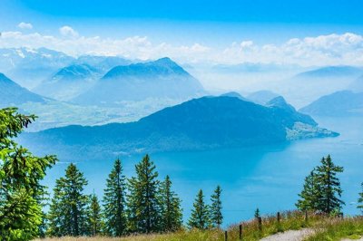 ​俗语：“兔子不吃窝边草”，后半句其实更经典，却少有人知！