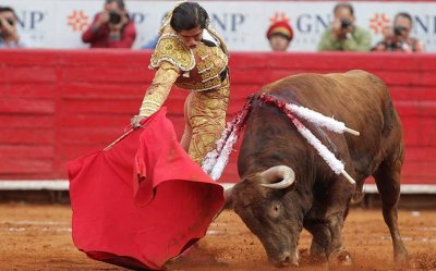 ​欧洲最危险的传统运动，聊聊西班牙的“国技”斗牛