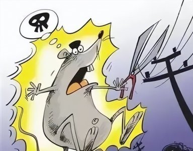 ​雷霆出击！这窝“电老鼠”被都匀公安成功“捕”获