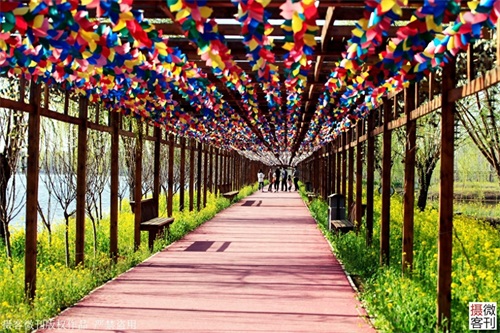 鹤鸣湖吸引众多珍惜水鸟栖息,被称鹤壁后花园