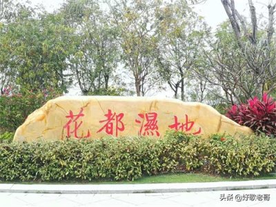 ​走进花都湿地，感受郊野之美