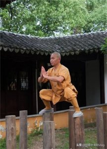 ​梅花桩也叫梅花拳，是我国比较古老的拳种，深受广大群众喜爱