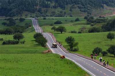 ​重庆到仙女山一日游攻略（重庆到武隆直达车方便快捷）