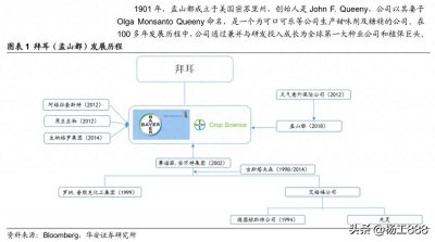 ​转基因霸主 可怕的拜耳孟山都