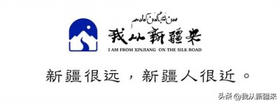 ​新疆的“羊中贵族“，竟然是它！