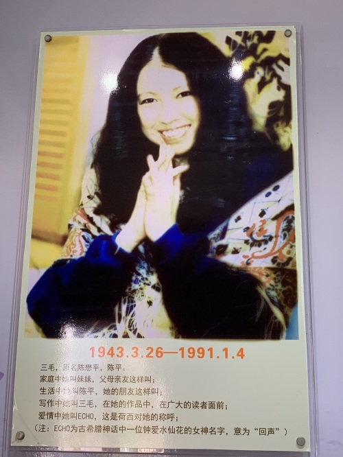 三毛
台湾著名女作家,旅行家——三毛