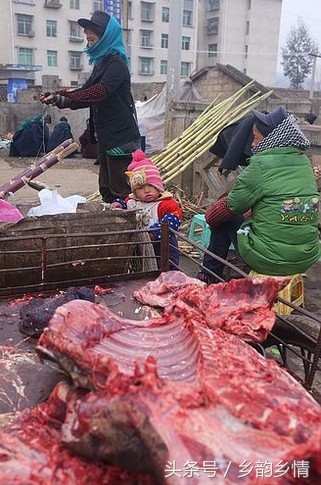 实拍农村女屠夫杀牛全过程，刀法娴熟男人自愧不如！