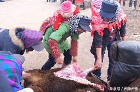 实拍农村女屠夫杀牛全过程，刀法娴熟男人自愧不如！