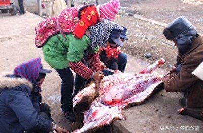 ​实拍农村女屠夫杀牛全过程，刀法娴熟男人自愧不如！