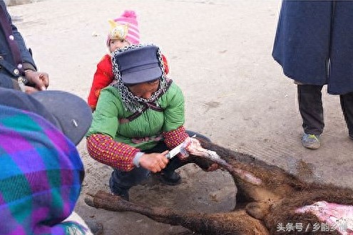 实拍农村女屠夫杀牛全过程，刀法娴熟男人自愧不如！
